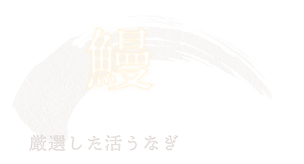 厳選した活うなぎ