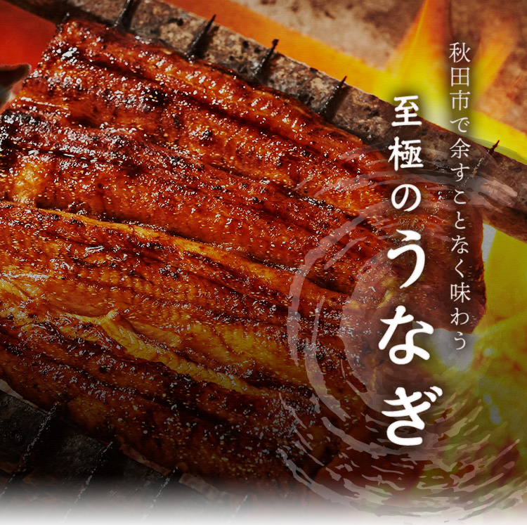秋田市 大町のうなぎ屋 横田屋 うなぎ居酒屋 横田屋まさ 公式